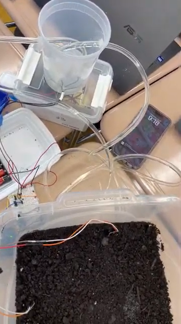 Final System